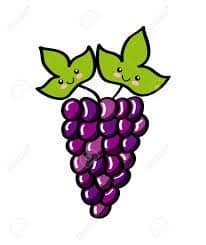 grappe raisin vin